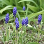 Herzliche Einladung zum "offenen Kaffeetreff" - gemeinsamer Spaziergang 2.0