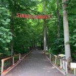 Sommerausflug für Menschen mit HIV