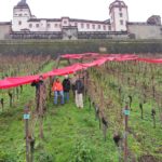 Rote Schleife am Festungsberg